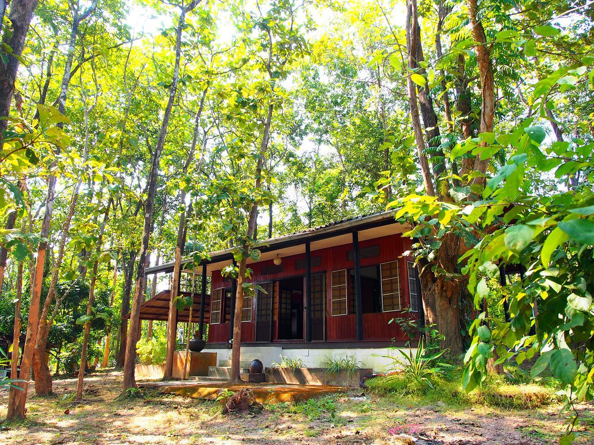 Golden Teak Homestay Mae Rim Eksteriør billede