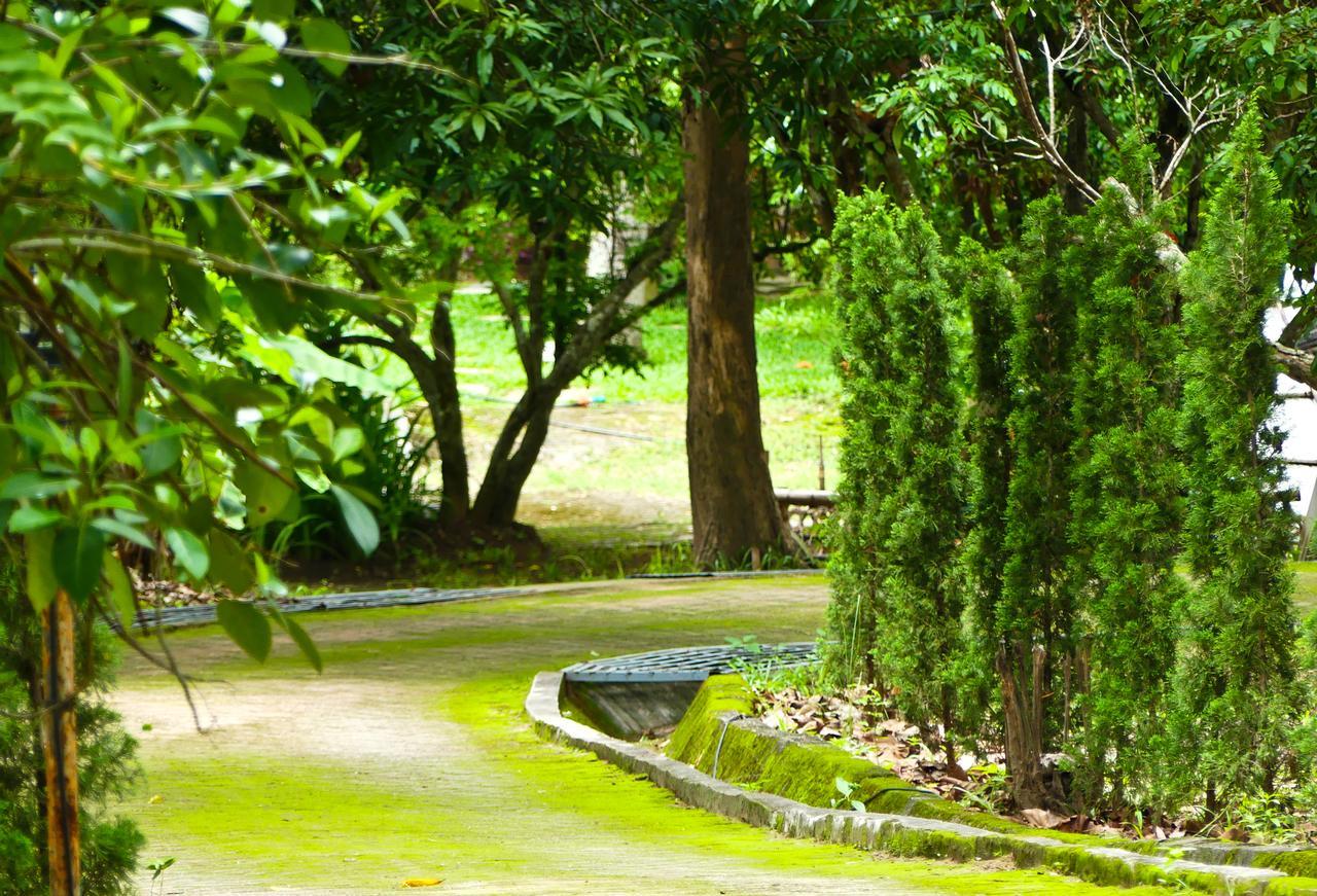 Golden Teak Homestay Mae Rim Eksteriør billede